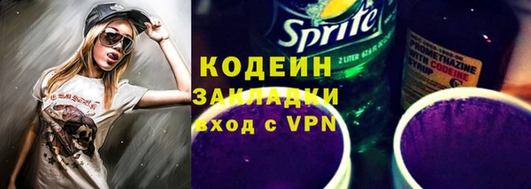 ПСИЛОЦИБИНОВЫЕ ГРИБЫ Ельня
