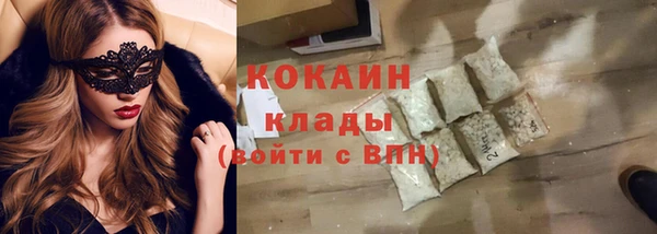 соль ск Дмитриев