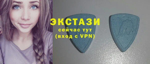 соль ск Дмитриев
