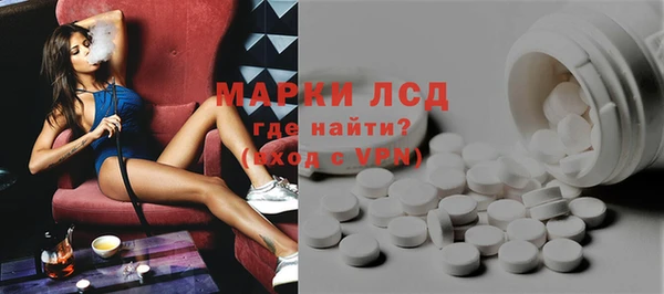 ПСИЛОЦИБИНОВЫЕ ГРИБЫ Ельня
