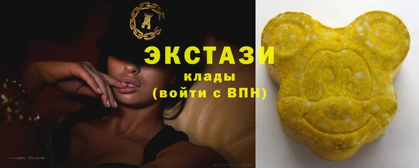ПСИЛОЦИБИНОВЫЕ ГРИБЫ Ельня