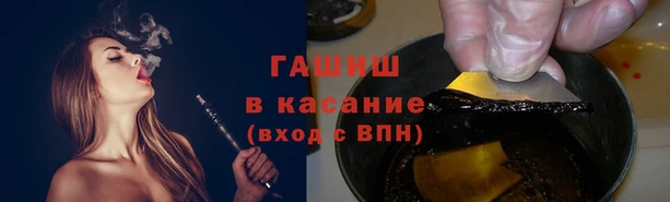 ПСИЛОЦИБИНОВЫЕ ГРИБЫ Ельня