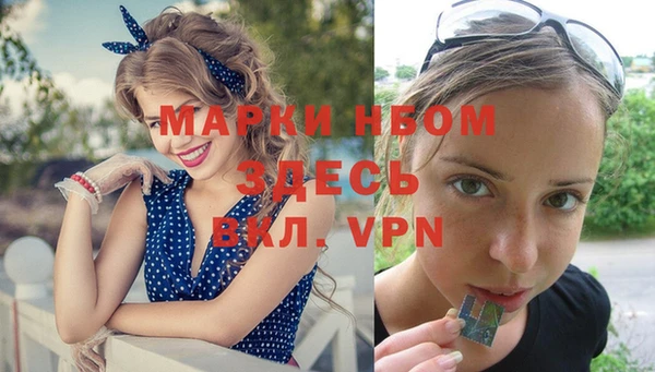 мяу мяу мука Елизово