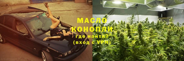 ПСИЛОЦИБИНОВЫЕ ГРИБЫ Ельня