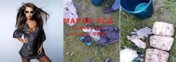ПСИЛОЦИБИНОВЫЕ ГРИБЫ Ельня