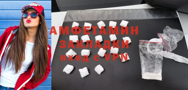 ПСИЛОЦИБИНОВЫЕ ГРИБЫ Ельня