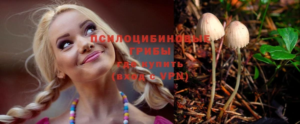 соль ск Дмитриев
